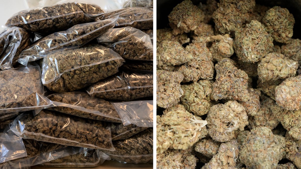 16-åring gömde 45 kilo cannabis